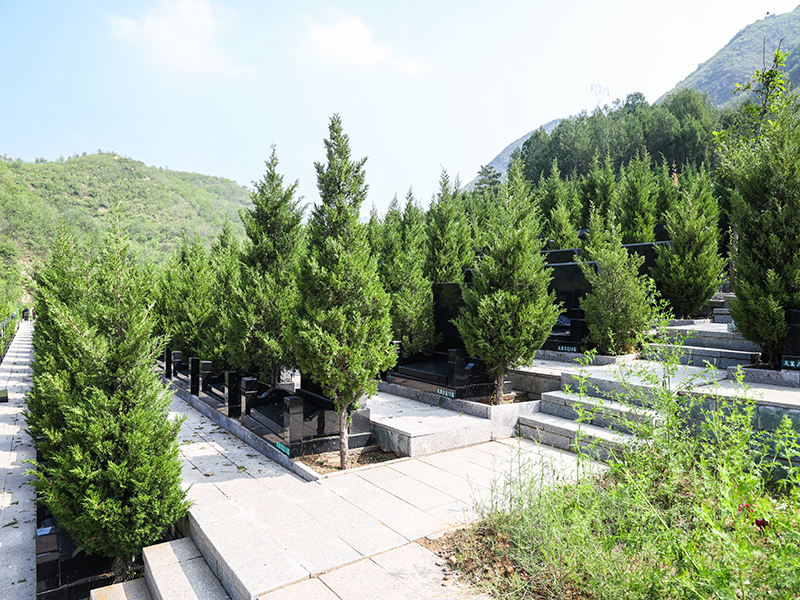 景仰园和九公山纪念林，各自有什么优点？该怎么选？