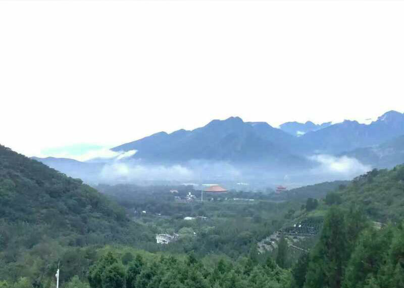 景仰园和华人怀思堂，各自有什么优点？两者该怎么选？